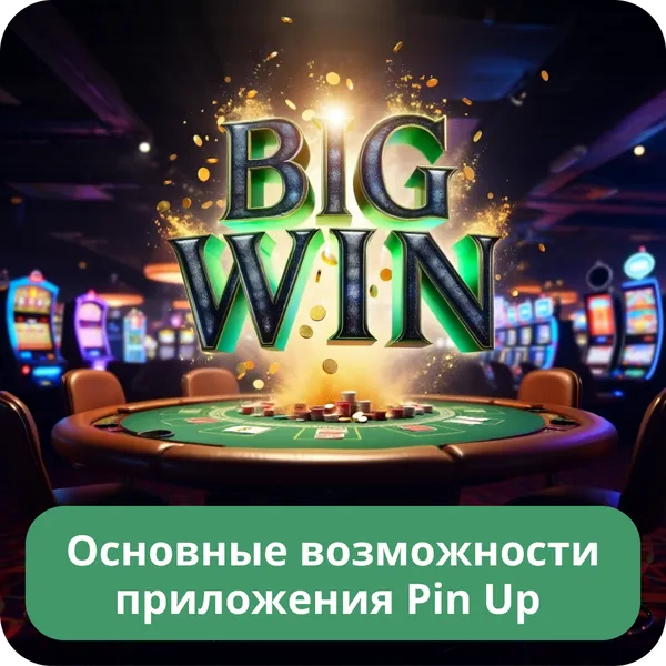 Основные возможности приложения Pin Up